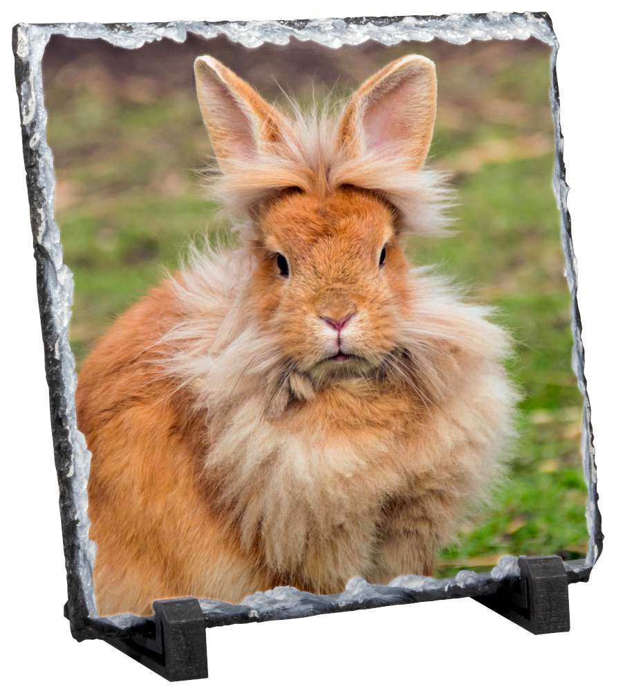 Personalisierte Geburtstagspokale - Einzigartige Geschenke für jedes Alter