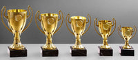 Thumbnail for Fünf goldene Pokale Aschaffenburg 5-er Pokalserie 130 mm – 217 mm PK756090-5-E25 unterschiedlicher Größe in absteigender Reihenfolge auf einem grauen Hintergrund angeordnet.