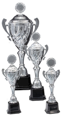 Thumbnail for Ausgestellt sind vier silberne Trophäen aus der Pokale Eberswalde 4-er Pokalserie mit Abmessungen zwischen 360 mm und 445 mm. Diese Trophäen haben schwarze Sockel, dekorative Griffe und runde Embleme auf der Oberseite. Die Serie PK756730-4-E50 ist ein wahres Beispiel für hervorragende Handwerkskunst und Ehre.
