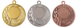 Drei Sportmedaillen Flensburg 50 mm in einer Reihe angezeigt: goldene, silberne und bronzene Auszeichnungsmedaillen, jede mit einem leeren Mittelbereich und einem dekorativen Rand.
