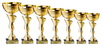 Thumbnail for Pokalserie Fürth: 7 goldene Pokale ohne Deckel in gestaffelten Höhen von 240 bis 325 mm, nebeneinander aufgereiht vor weißem Hintergrund, jeder auf schwarzem Sockel mit graviertem Namensschild.