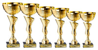 Thumbnail for Pokalserie Ulm: 6 goldene Pokale in offener Kelchform in gestaffelten Höhen von 240 bis 305 mm, nebeneinander aufgereiht vor weißem Hintergrund, jeder auf schwarzem Sockel mit graviertem Namensschild.