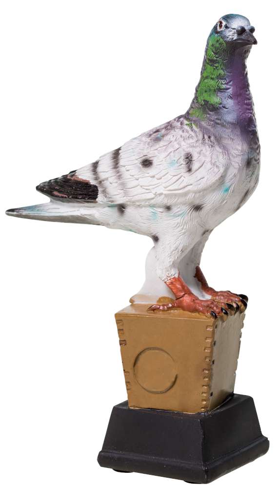 Ein Taubenmodell steht auf einem kleinen, quadratischen Sockel mit einem angehobenen Fuß. Die aus hochwertigem Material gefertigte Trophäe Taube 190 mm PK739364-62589 weist eine Mischung aus grauem, weißem und grünem Gefieder auf und verkörpert ein exklusives Design, das für jeden eleganten Raum geeignet ist.