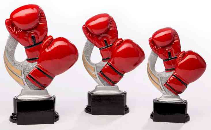 Drei 3-er Serie Kampfsport 160 mm - 200 mm PK739114-12-3 in unterschiedlichen Größen, gefertigt aus hochwertigem Material, werden vor einem weißen Hintergrund angezeigt.